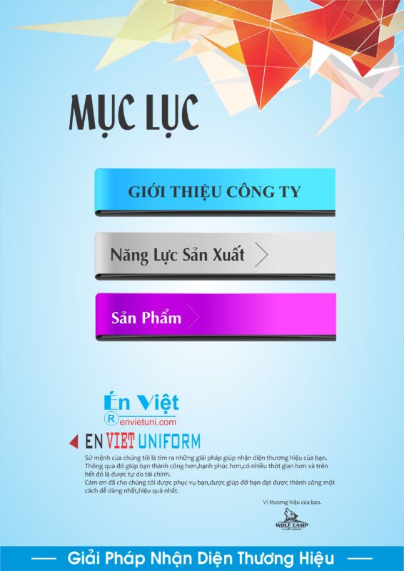 ho so nang luc dong phuc en viet 03